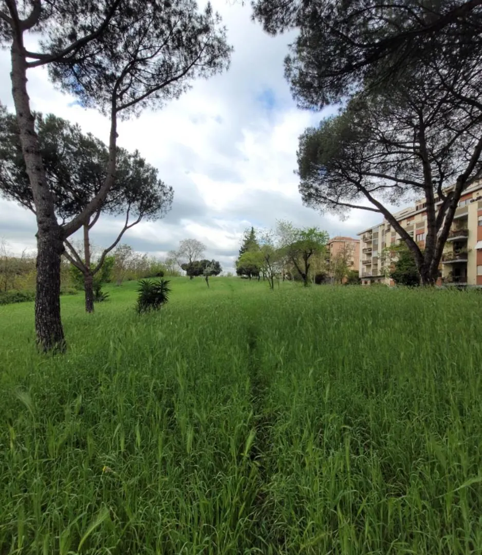 Panoramico Eur Apartment Rome 0*,
